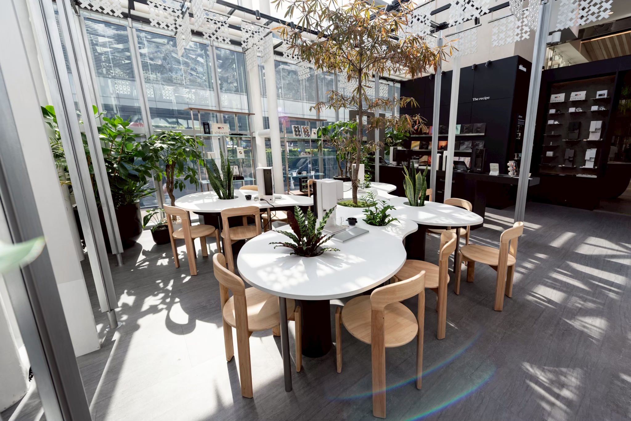 LINE ALBUM K Nai 251003 16