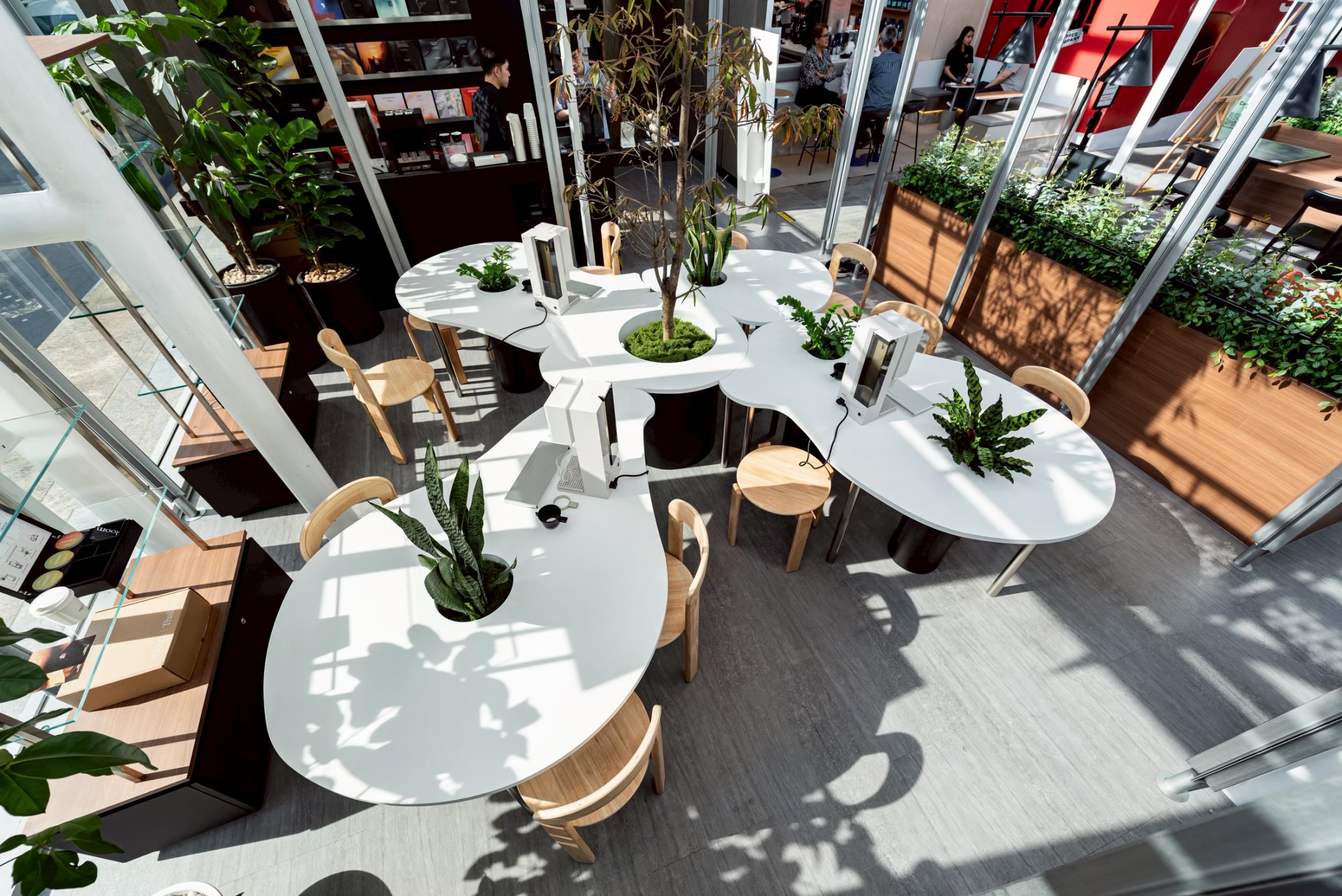 LINE ALBUM K RAMA 251003 15