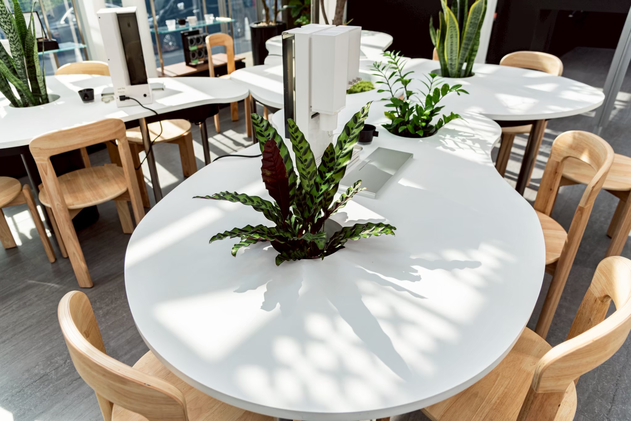 LINE ALBUM K RAMA 251003 6